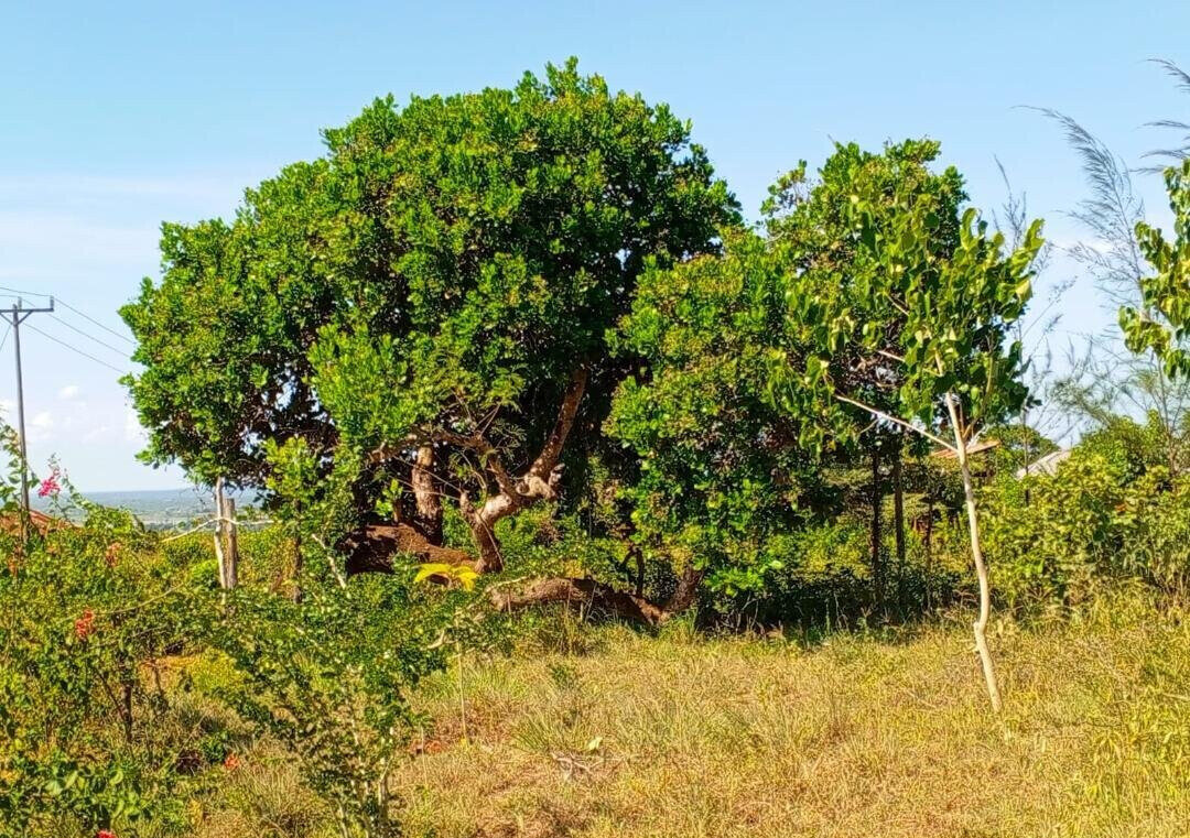 1-Acre Agricultural Land at KSh 1.7M