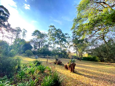 Prime Land 2.5 Acres, Ridgeways - Image 3