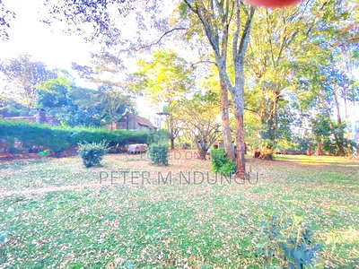 Prime Land 2.5 Acres, Ridgeways - Image 1