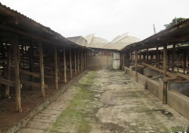 3-Acre Red Hill Farm at KSh 150M