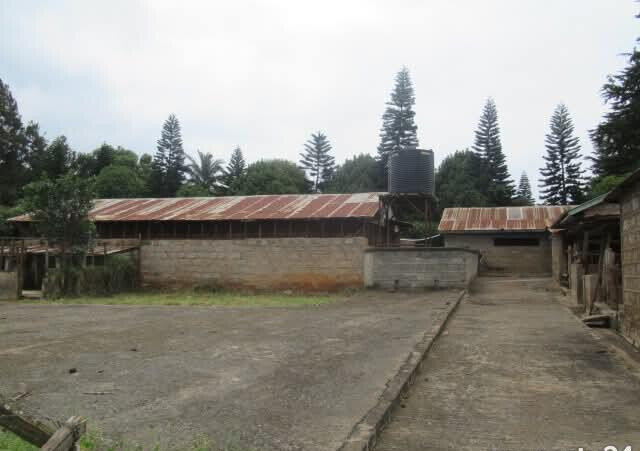 3-Acre Red Hill Farm at KSh 150M