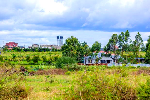 Genuine Katani Plots Near Tarmac Ww^