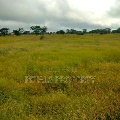50 Acres for Sale in Kajiado Touching Tarmac - Image 3