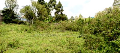 Half Acre+ 1/8 Acre Plot for Sale in Ngong. - Image 3