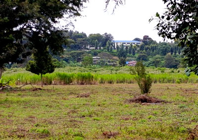 1-Acre Plot with Garden in Langata