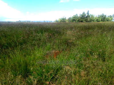 50 Acres for Sale at Maguguni - Image 3