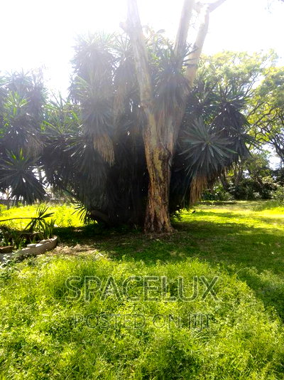 1.2 Acres Adams Arcade Commercial - Image 2