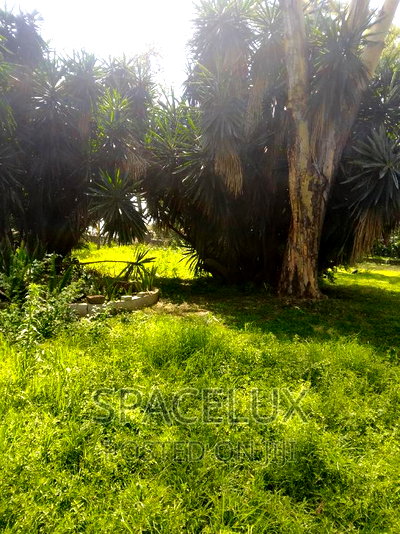 1.2 Acres Adams Arcade Commercial - Image 1