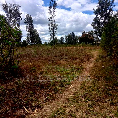 Residential 50x100ft Plots for Sale at Kenol Kimorori - Image 2