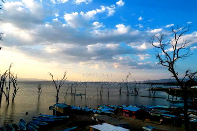 Get a 50 by 100 Piece of Land With a Perfect Views - Image 2