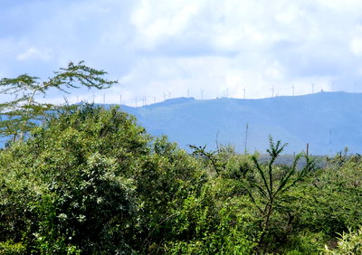 50x100 Plot Under 1M - Ngong