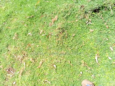 Quick Sale 50*100 Plot in Karunga Bahati at 850,000 Only. - Image 2