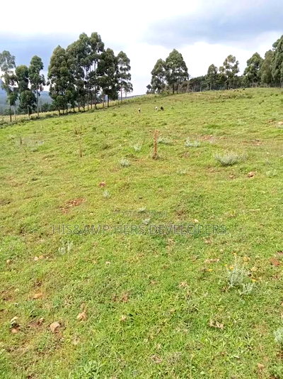 Quick Sale 50*100 Plot in Karunga Bahati at 850,000 Only. - Image 1