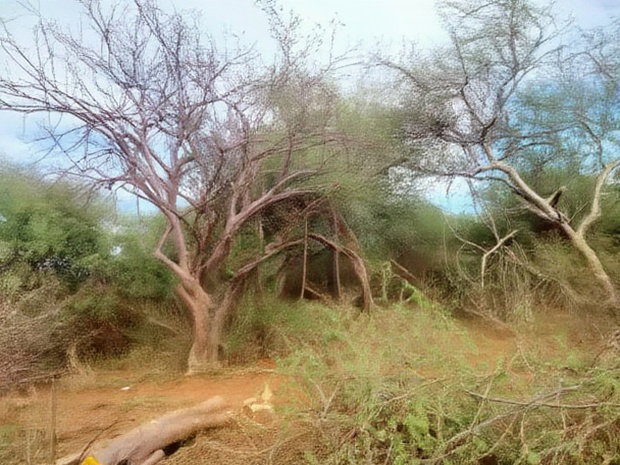 1000 Acres Kambu Makueni