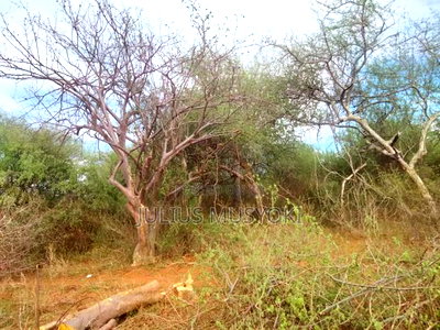 1000 Acres Kambu Makueni - Image 2