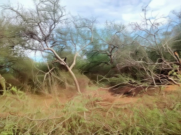 1000 Acres Kambu Makueni