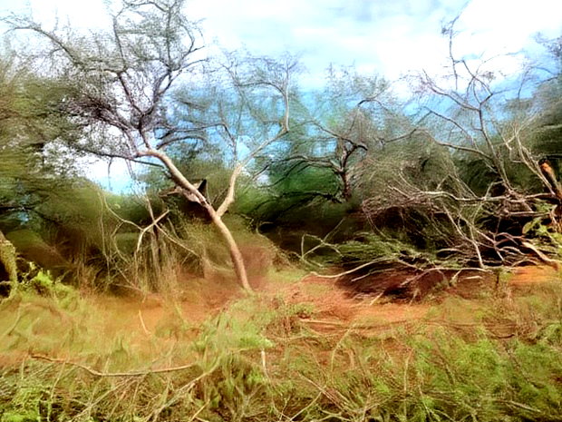 1000 Acres Kambu Makueni