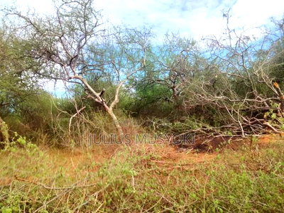 1000 Acres Kambu Makueni - Image 1