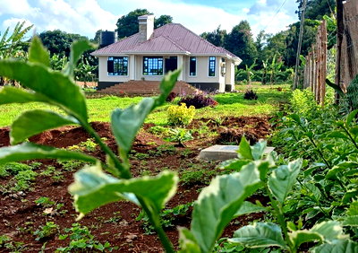Quarter Acre 3BR Haven for KSh 100K
