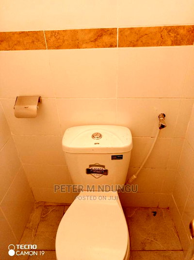 2bdrm Block of Flats in Maziwa for rent - Image 6