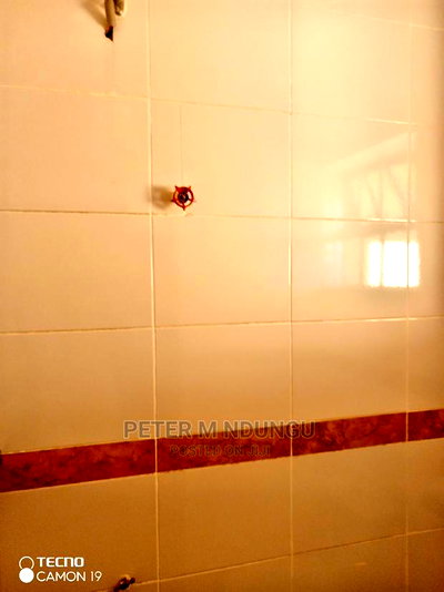 2bdrm Block of Flats in Maziwa for rent - Image 7