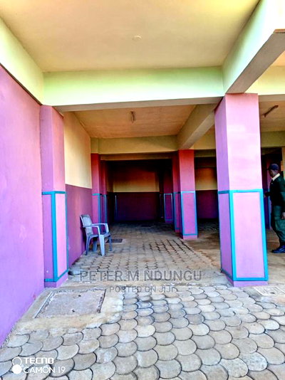 2bdrm Block of Flats in Maziwa for rent - Image 13