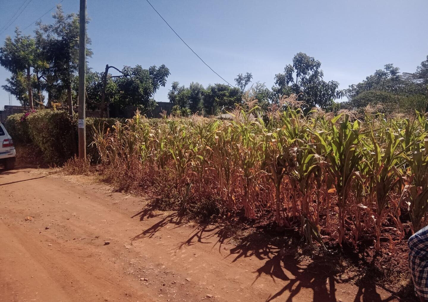 1/8 Acre Plot for KSh 2.5M