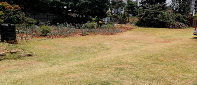 1/2 Acre Plot in Parklands for KSh 250M