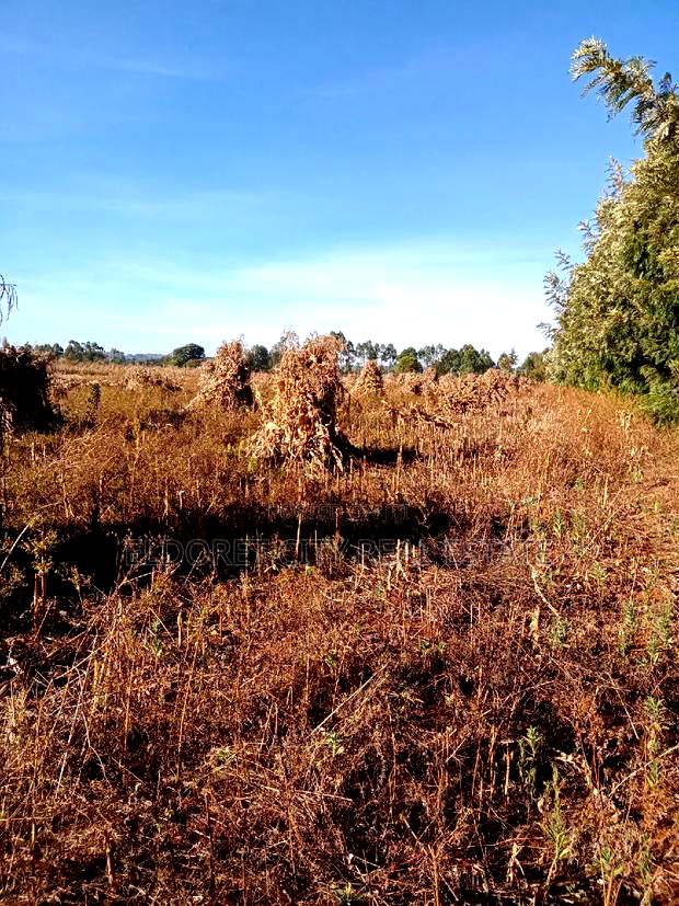 One Acre Marura Ideal for Residential