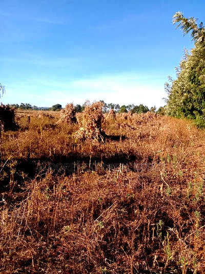 One Acre Marura Ideal for Residential - Image 1