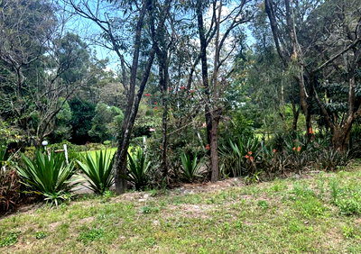 5-Acre Garden Plot with Parking at KSh 130M