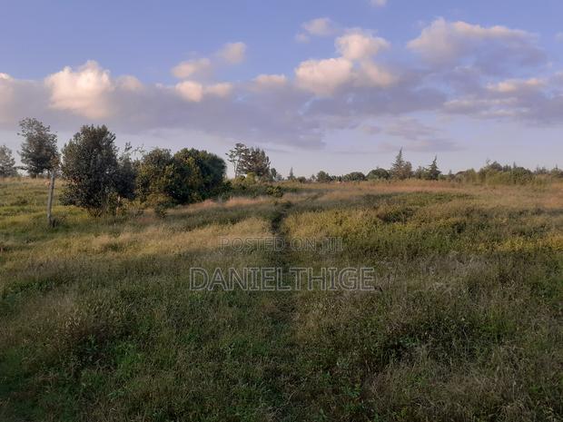 Half Acre Land on Sale at Nanyuki Mwireri Area 9km to Nanyuki