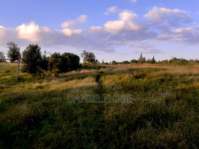 Half Acre Land on Sale at Nanyuki Mwireri Area 9km to Nanyuki - Image 6