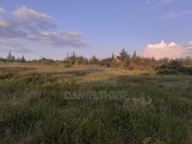 Half Acre Land on Sale at Nanyuki Mwireri Area 9km to Nanyuki