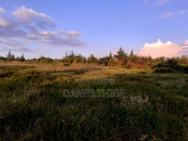 Half Acre Land on Sale at Nanyuki Mwireri Area 9km to Nanyuki