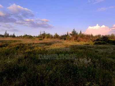 Half Acre Land on Sale at Nanyuki Mwireri Area 9km to Nanyuki - Image 4