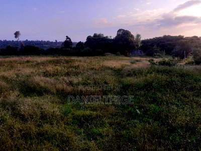 Half Acre Land on Sale at Nanyuki Mwireri Area 9km to Nanyuki - Image 5
