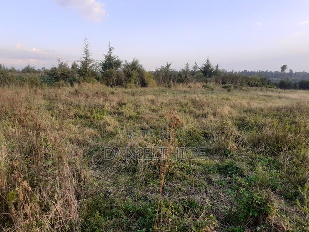 Half Acre Land on Sale at Nanyuki Mwireri Area 9km to Nanyuki