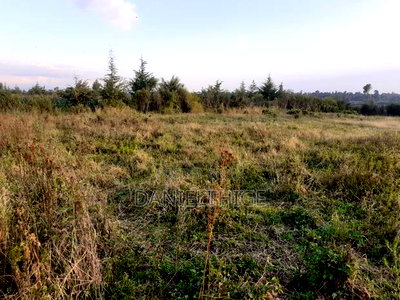 Half Acre Land on Sale at Nanyuki Mwireri Area 9km to Nanyuki - Image 8