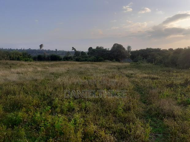 Half Acre Land on Sale at Nanyuki Mwireri Area 9km to Nanyuki
