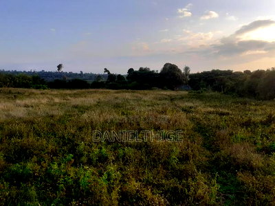 Half Acre Land on Sale at Nanyuki Mwireri Area 9km to Nanyuki - Image 3