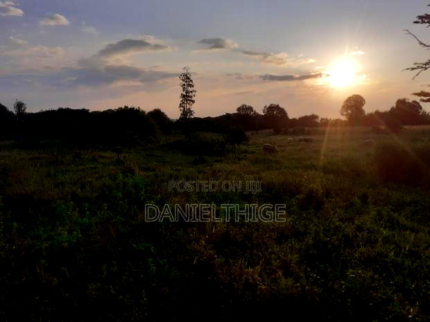 Half Acre Land on Sale at Nanyuki Mwireri Area 9km to Nanyuki