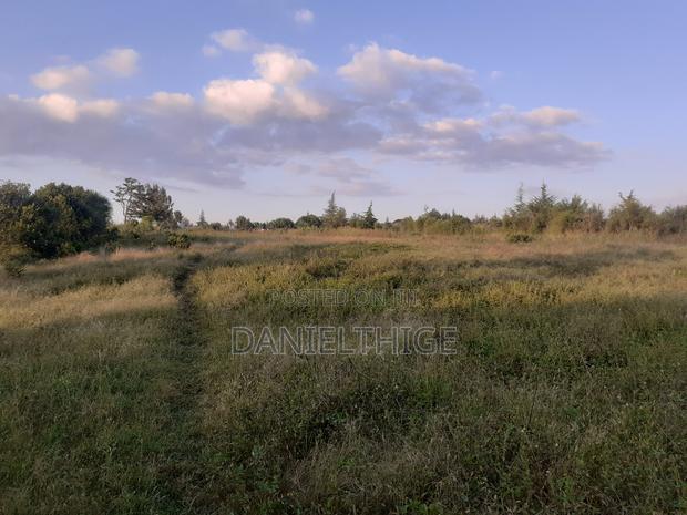 Half Acre Land on Sale at Nanyuki Mwireri Area 9km to Nanyuki
