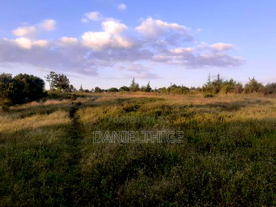 Half Acre Land on Sale at Nanyuki Mwireri Area 9km to Nanyuki - Image 2