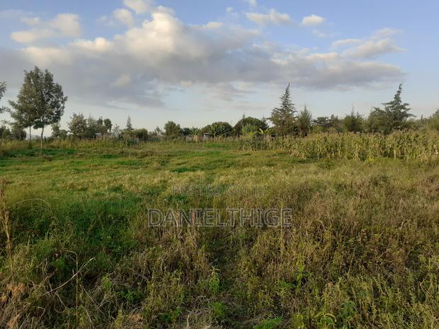 Half Acre Land on Sale at Nanyuki Mwireri Area 9km to Nanyuki