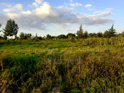 Half Acre Land on Sale at Nanyuki Mwireri Area 9km to Nanyuki - Image 7