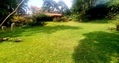 Half Acre Plot in Ridgeways for KSh 35M