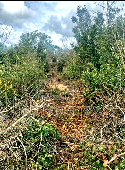 20 Acres Land for Sale in Malindi - Image 4