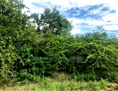 20 Acres Land for Sale in Malindi - Image 6