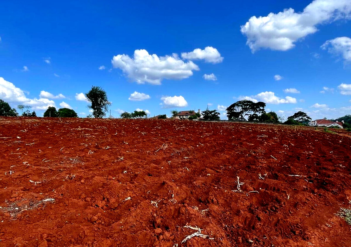 25-Acre Kitisuru Land at KSh 110M
